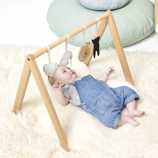 The Little Green Sheep SpeelGym Rainbow Ocean van T