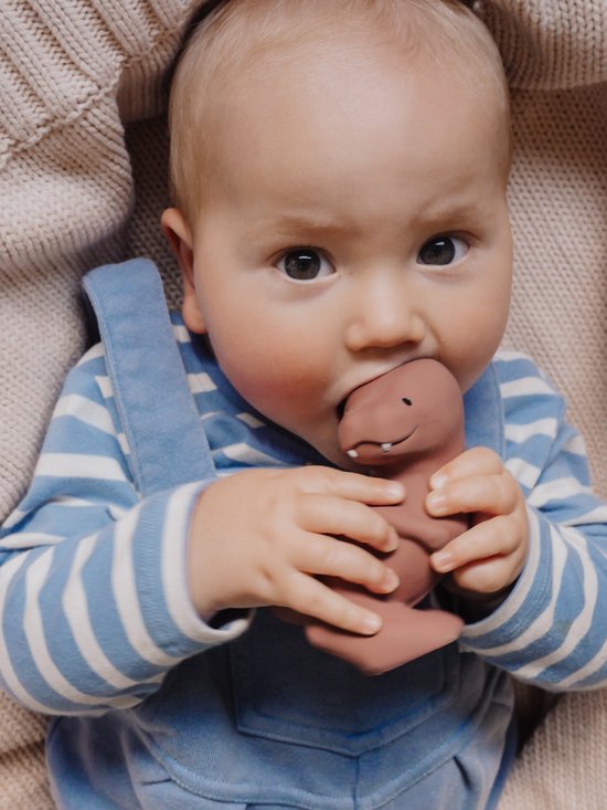 Tikiri Badspeeltje Mijn Eerst Dinosaurus T-Rex van T