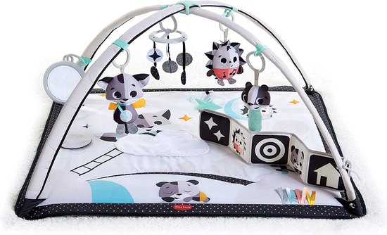 Tiny Love Babygym Gymini - Black and White - Magical Tales - Vanaf de geboorte tot 1 jaar van Tiny Love