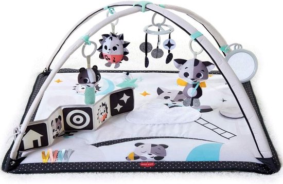 Tiny Love Gymini 2-in-1 muzikale babyspeelmat - Contrastrijk babyboek - Interactief muziekspeeltje - 18 activiteiten - Verstelbare bogen - Magic Tales play mat baby van Tiny Love