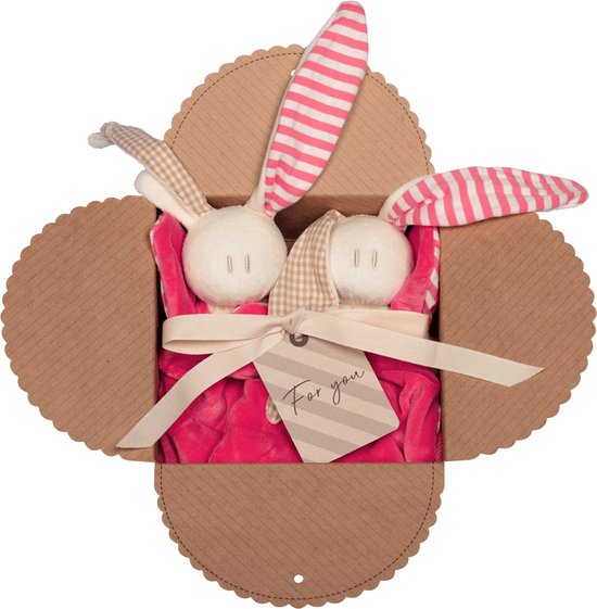 Toddel knuffels – Zachte Baby of Peuter Knuffel – Koraalrood - Knuffeldoekje – Set met 2 dezelfde knuffeltjes - 09.11.1 van T