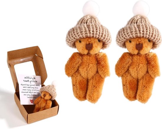 TOYMIS 2 Sets Mini-Pluchen Beren, Handgemaakte Kleine Beer in Een Doos met Bemoedigende Kaart Perfecte Bureaudecoratie Inspirerende Steundiertjes voor Familie Vrienden (Crèmegeel)