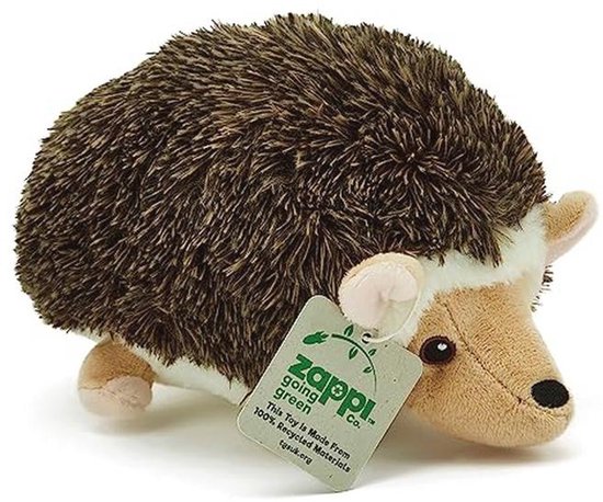 Ultra Zachte Egel Pluche Speelgoed - 100% Gerecycled, Milieuvriendelijk, Cadeau voor Pasgeborenen, 21 cm van Merkloos