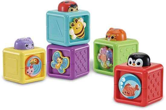 VTech Baby Stapel & Ontdek Blokkenset van Vtech