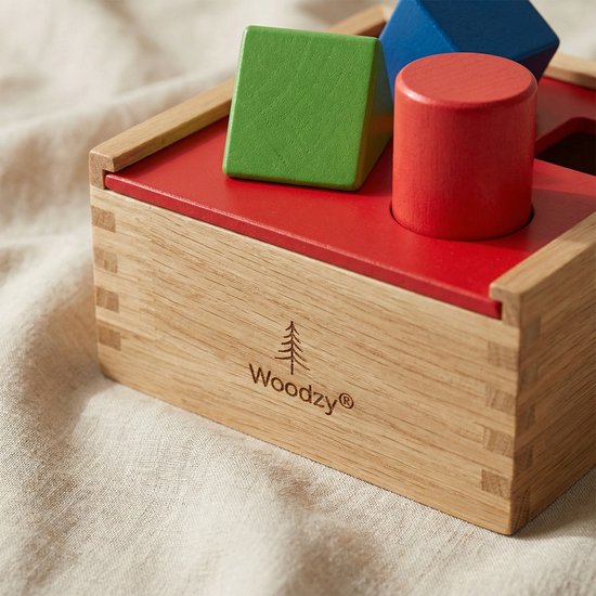 Woodzy Houten Vormenstoof 6 Delig – FSC® Gecertificeerd – Montessori Speelgoed – Educatief Speelgoed 3+ Jaar – Sorteerspel – Cadeau Kinderen