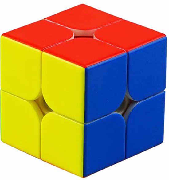 YJ Yupo v2 M 2x2 van YJ