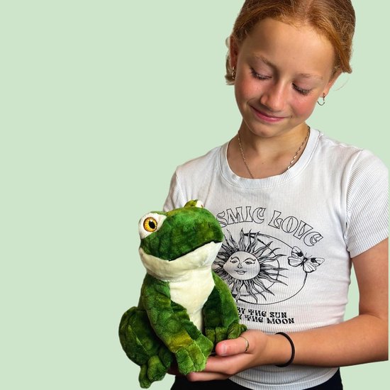Zacht Ecologisch Pluche Knuffeldier Kikker Gemaakt van Gerecycled Materiaal van Merkloos