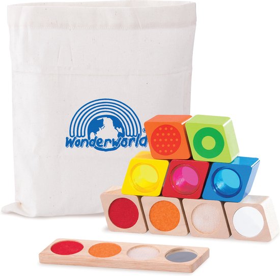 Zintuigblokken van Clementoni