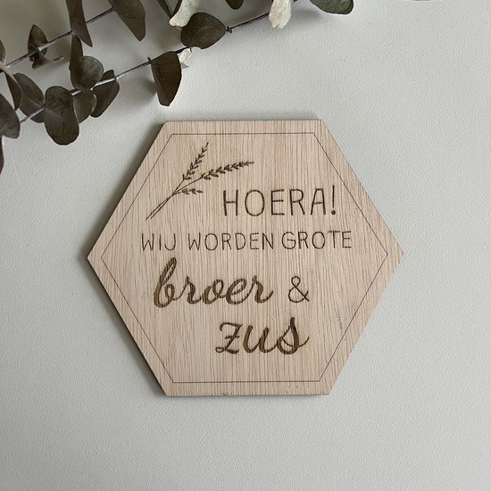 Zwangerschapsaankondiging Broer & Zus van Lovz