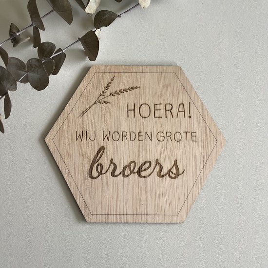 Zwangerschapsaankondiging Hexagon Broers - Hoera! Wij worden grote broers! - Grote broers - Zwangerschapsaankondiging - Big Brothers - Aankondiging Zwangerschap - Bekendmaking Zwangerschap - Gender Reveal
